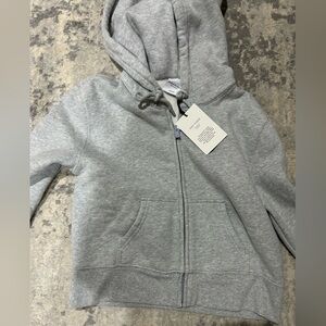 Aritzia Heather Gray Cozy Hoodie